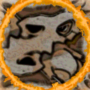 ultim.8