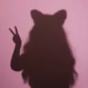ohmadison