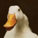 cripl