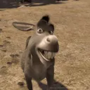 pfp