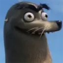 nokapt