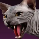 geogore