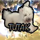 tutak