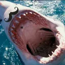 thirstyshark