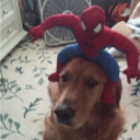 avatar Rico da Hannah Montana