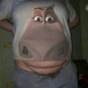 avatar FusionsFehler