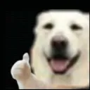ziemian