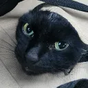 nomadik