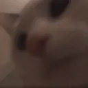 jeypx