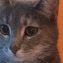 stayfrostylol#2403's avatar