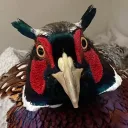 saintnevermore