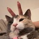 yumie69