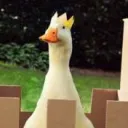 lackingsaint