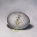 einargs's Avatar