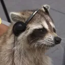 alexjeuvideal