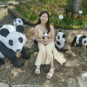 pandabe11e