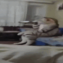 distortedghostz