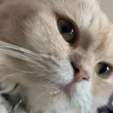 riskybooi