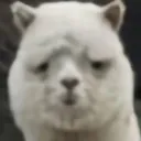 nashiyo