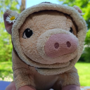 avatar 🎀 ℜ𝔦𝔠𝔥𝔱𝔦𝔤𝔢𝔯ℌ𝔢𝔯𝔬 🎀