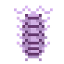 elsolorana