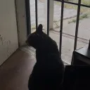 lightningik