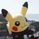 pvdude