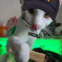 yukimotoshinichi