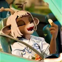 caracalpilot