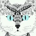 bitterelasticat