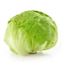 lamdojo