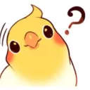 wishkohaku
