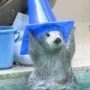 otterouttawater