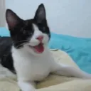 pasketti