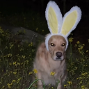 avatar ᴹʰᵉᵉᵏᵒ