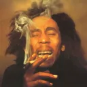 burnonedown