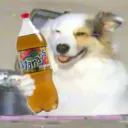 el_gonboi
