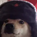 HovJigga's Avatar