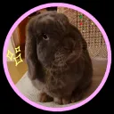 averythecro