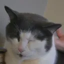 nymkee