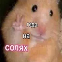 tonna_iq