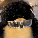 jasonpluto#8221's avatar