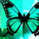 its.lj