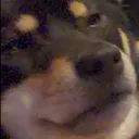 fruitluper