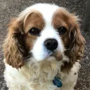 winniethedude