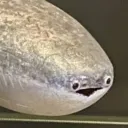 kevvyc