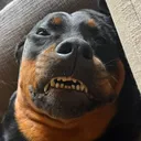 amonbyrne