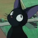 catsock