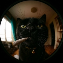 Discord Avatar