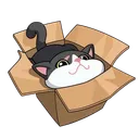 CardBoardPixel